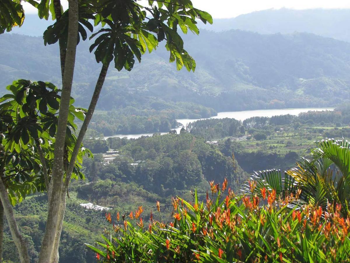 La Flor De Loto Villa Cartago Exterior photo